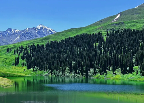 Grasslands, flowers and local culture