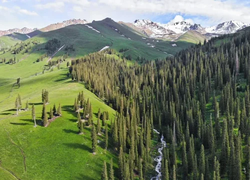 Why Choose Pangcheng Travel: A Local Xinjiang Travel Expert You Can Trust
