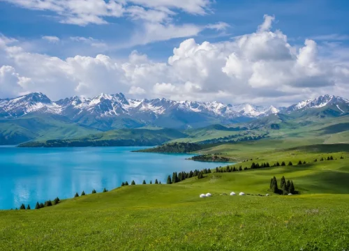 Lakes, Mountains & Pastures · 8-Day Ili River Valley Group Tour (Urumqi Round Trip, Apr–Aug)
