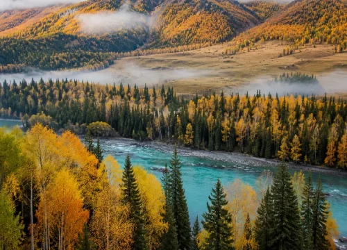 Forest & Pasture Song · 8-Day Hidden Altay Group Tour